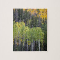 Provo-Fluss und Aspen-Bäume