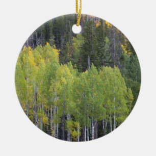 Provo-Fluss und Aspen-Bäume Keramik Ornament
