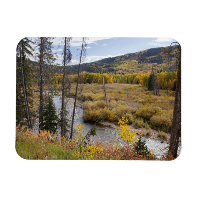 Provo-Fluss und Aspen-Bäume Magnet (Horizontal)