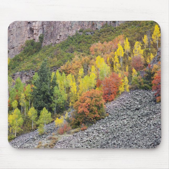 Provo-Fluss und Aspen-Bäume Mousepad (Vorne)