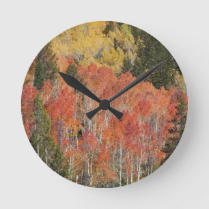 Provo-Fluss und Aspen-Bäume Runde Wanduhr