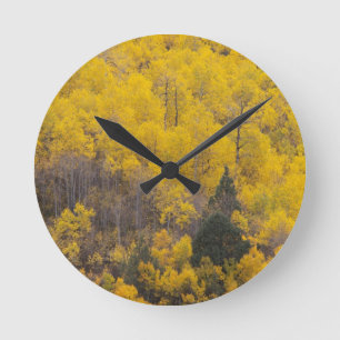 Provo-Fluss und Aspen-Bäume Runde Wanduhr