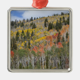 Provo-Fluss und Aspen-Bäume Silbernes Ornament