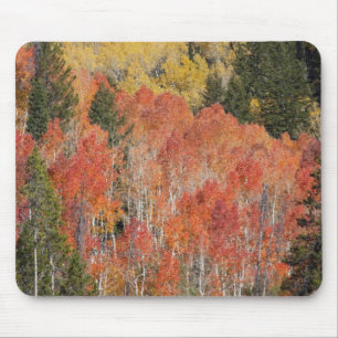 Provo-Fluss und Espen Mousepad
