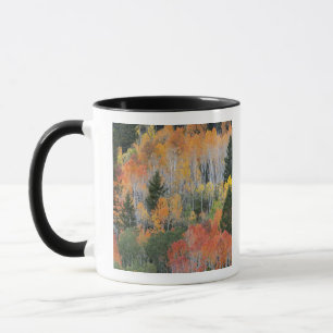 Provo-Fluss und Espen Tasse