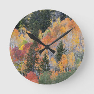 Provo River and aspen trees Runde Wanduhr