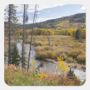 Provo River und Espen Quadratischer Aufkleber