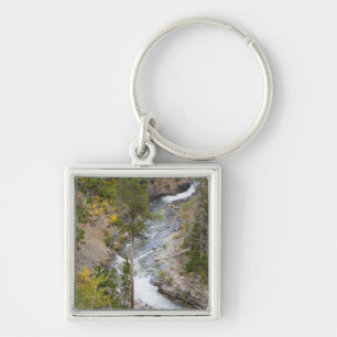 Provo River und Espen Schlüsselanhänger