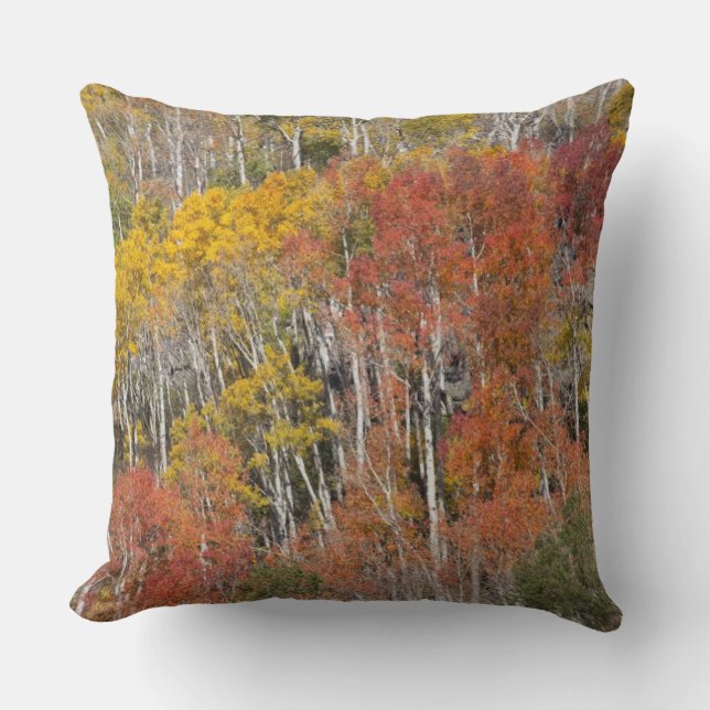 Provo- und Asphaltbäume Kissen (Vorderseite)