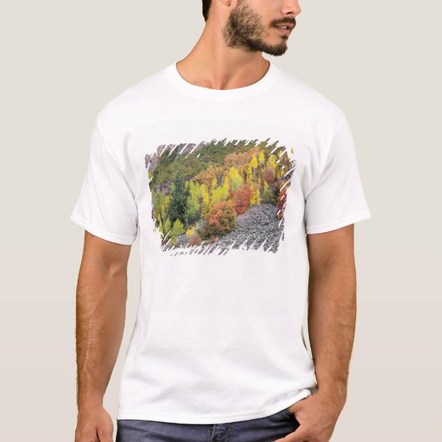 Provo- und Asphaltbäume T-Shirt (Vorderseite)
