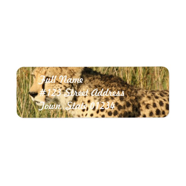 Prowling Cheetah Étiquette (Devant)