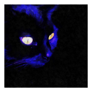 Prowying Black Cat Animal Pose Akronylic Art Poster