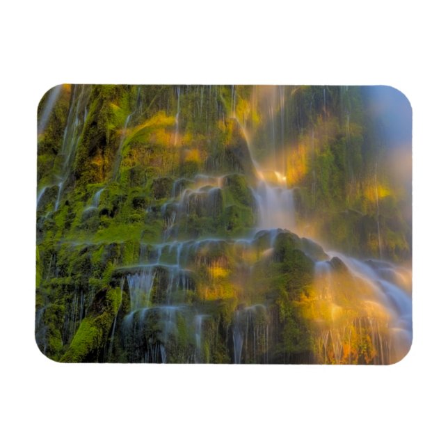 Proxy Falls Three Sisters Wilderness Oregon Magnet (Horizontal)