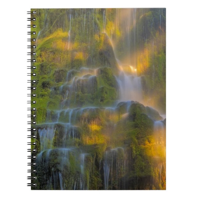 Proxy Falls Three Sisters Wilderness Oregon Notizblock (Vorderseite)