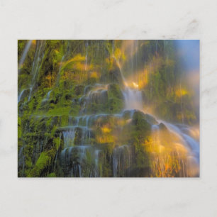 Proxy Falls Three Sisters Wilderness Oregon Postkarte
