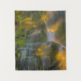 Proxy Falls Three Sisters Wilderness Oregon Wandteppich