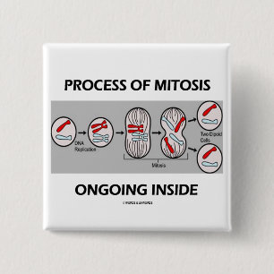 Prozess des Mitose-laufenden Inneres Button