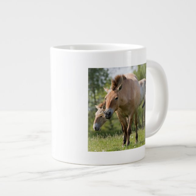 Prozewalskis Pferd- und Fohlenwandern Jumbo-Tasse (Vorderseite Rechts)