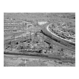 PRR Zoo-Kreuzungs-kundenspezifische Fotodruck