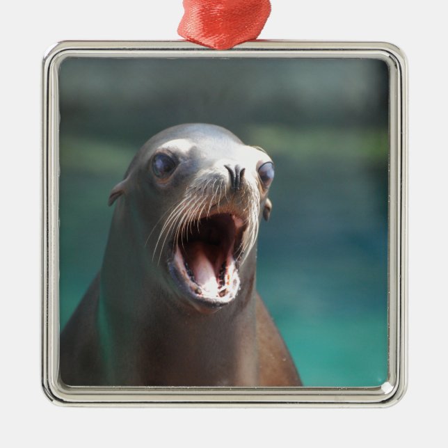 Prüfung meine Mandeln! Silbernes Ornament (Vorne)