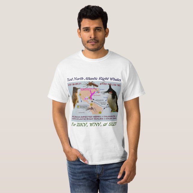 Prüfung nordatlantischer rechter Wale für Zika dur T-Shirt (Vorne ganz)