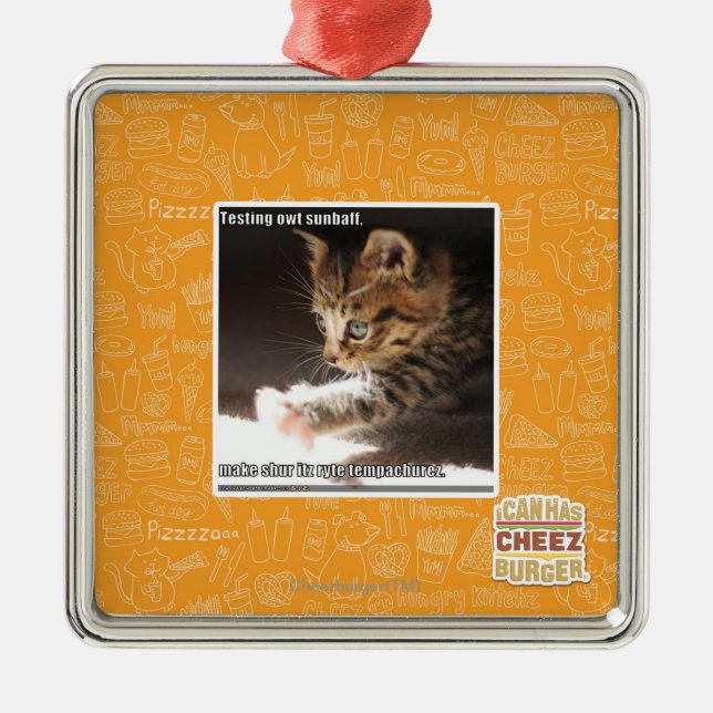 Prüfung owt sunbaff silbernes ornament (Vorne)