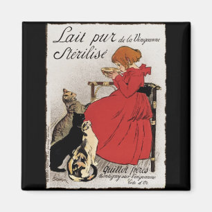 Prüfungs-Milch für das Kätzchen Magnet