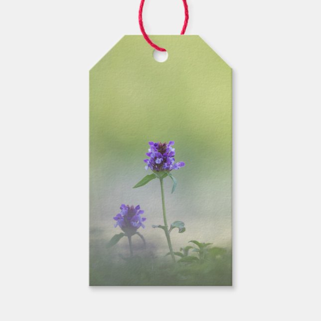 Prunella Blume Natur Foto Geschenkanhänger (Vorderseite)