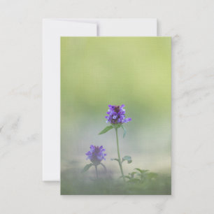 Prunella Blume Natur Foto Karte