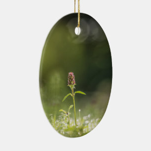 Prunella Blume Natur Foto Keramik Ornament