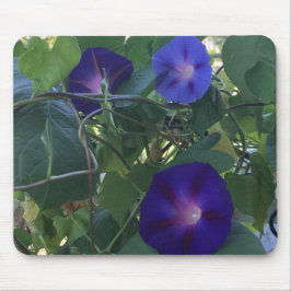 Prunkwinde-Kaleidoskop Nahaufnahme Mousepad