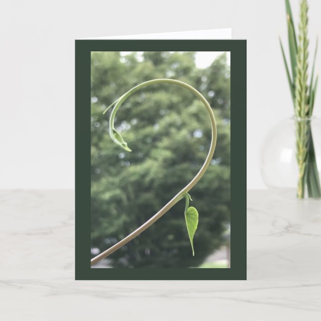 Prunkwinde Ranke und Blatt Blanko  Karte (Vorderseite)