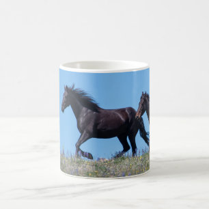 Pryor Mountain Wild Mustang Tasse