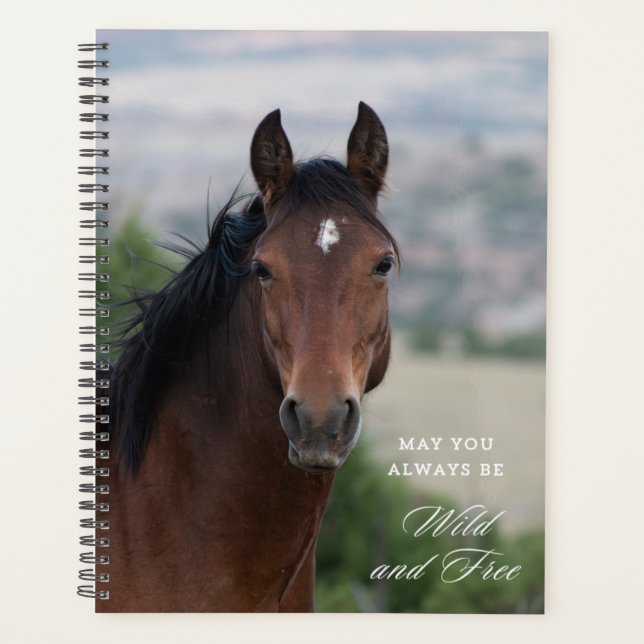 Pryor Mountain Wild Mustang "Ula" Planer (Vorderseite)