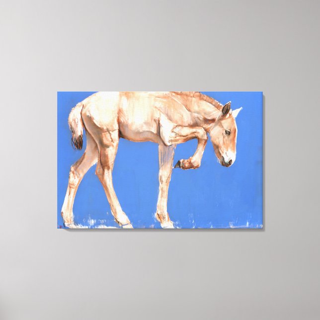 Przewalski Foal 2012 Leinwanddruck (Vorderseite)