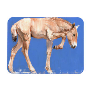 Przewalski Fohlen 2012 Magnet