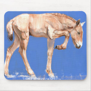 Przewalski Fohlen 2012 Mousepad