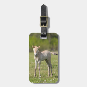 Przewalski-Fohlen, Ungarn Gepäckanhänger