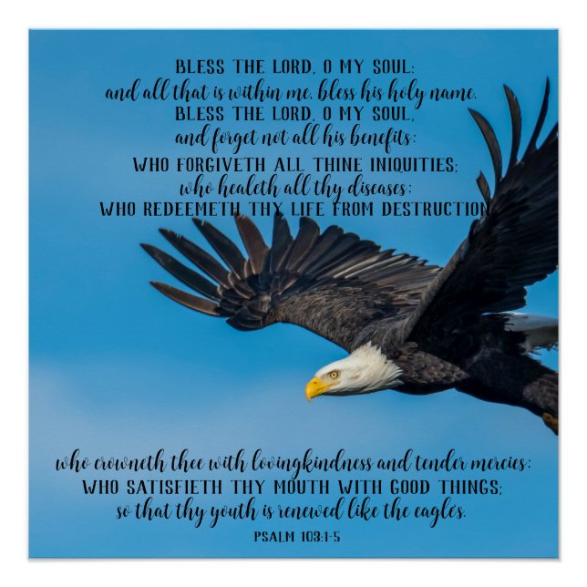 Psalm 103 Fliegendes Adlerglanzposter Poster (Vorderseite)