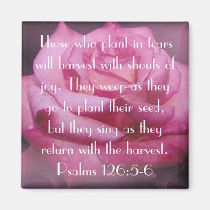 Psalm-126:5 - Vers-Rosenmagnet mit 6 Bibeln Magnet