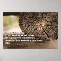 Psalm 139:16