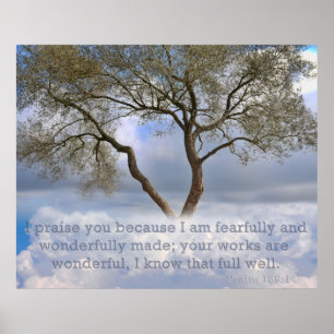Psalm 139: Ich werde ängstlich und wunderbar Poster