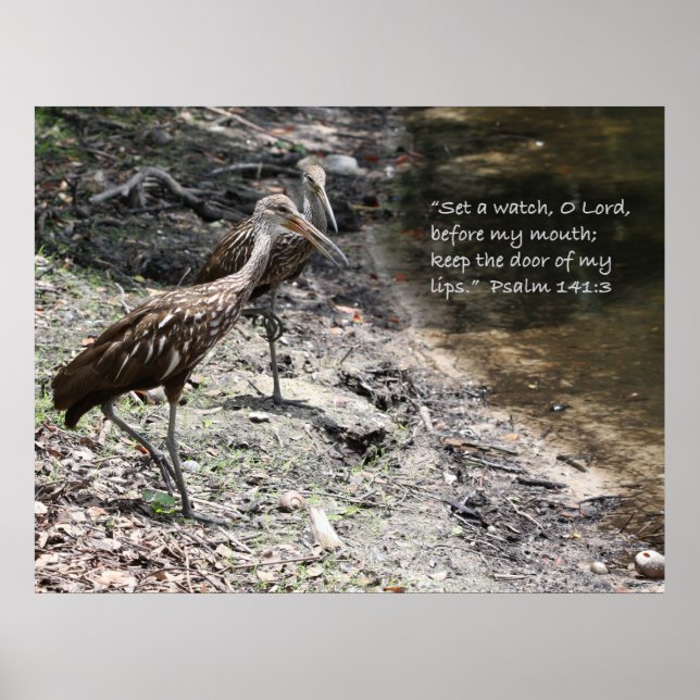 Psalm 141:3 Schrift-Poster Poster (Vorne)