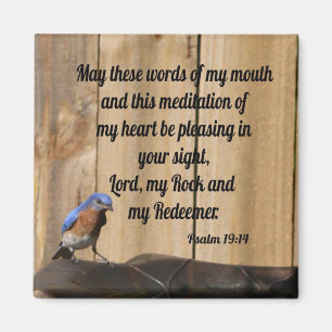 Psalm 19:14 magnet
