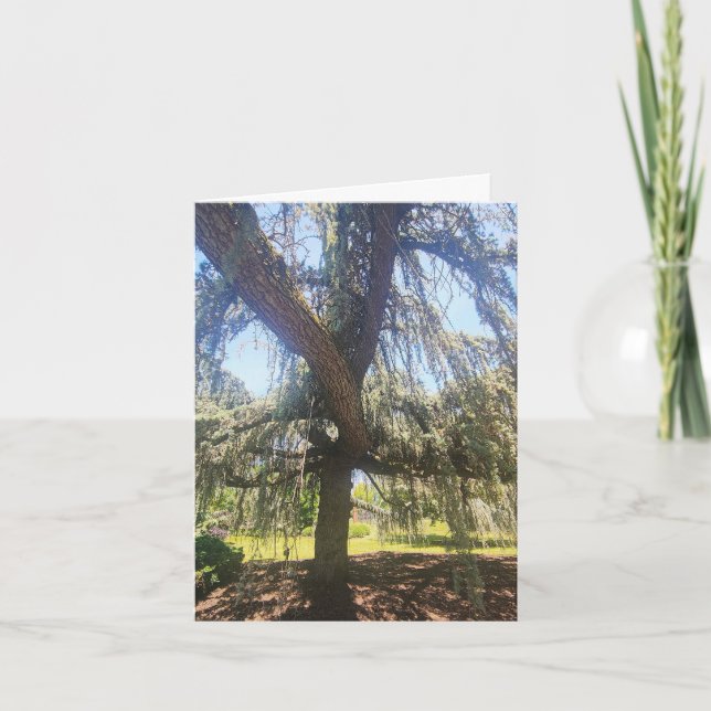 Psalm 1:1-3 Blank Card Karte (Vorderseite)