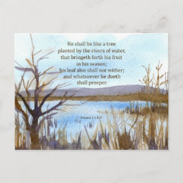 Psalm 1 Bibel Verse Wüste Wüste Massiv Postkarte