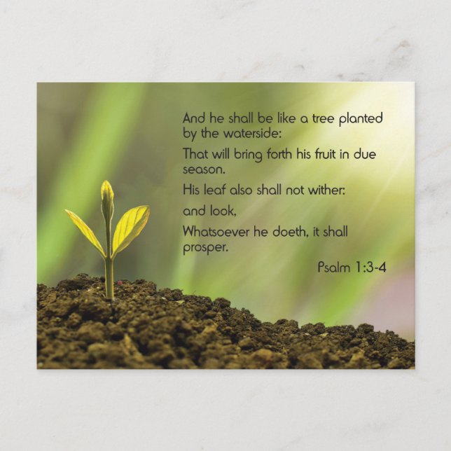 Psalm 1 - Und er wird wie ein Baum sein .... Postkarte (Vorderseite)