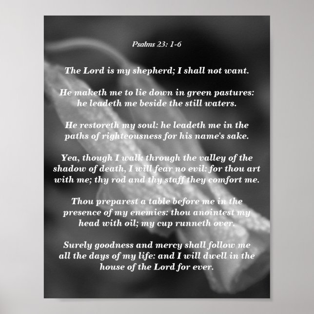 Psalm 23: 1-6 poster (Vorne)