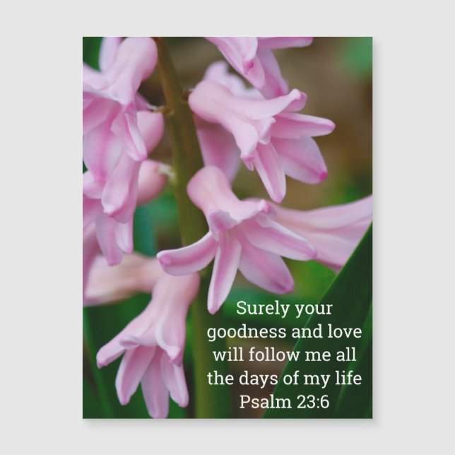 Psalm 23:6 Hyazinthe-Magnetkarte Magnetkarte (Vorderseite)