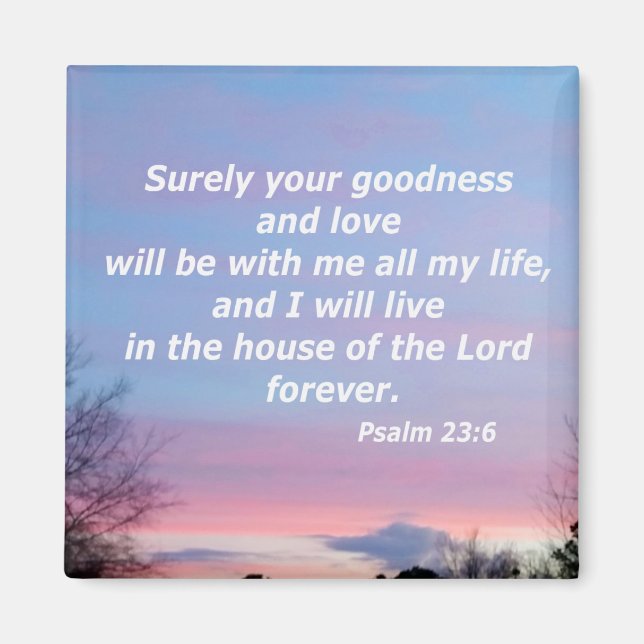 Psalm 23:6 magnet (Vorne)